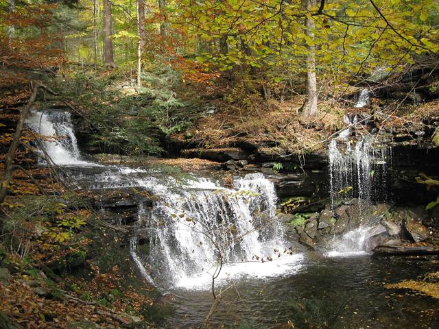 Ricketts Glen State Park